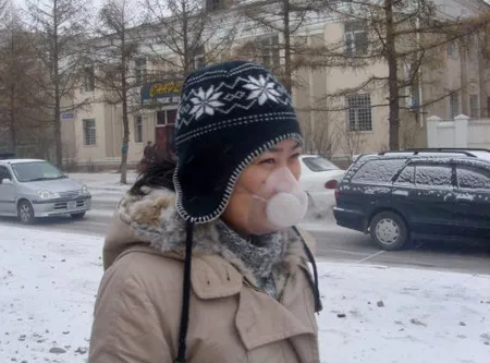 Totobobo users in Mongolia